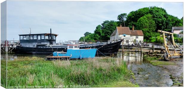 Pin Mill View Suffolk Canvas Print by Diana Mower