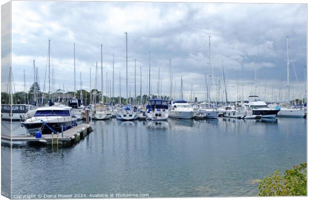 Chichester Marina Sussex Canvas Print by Diana Mower