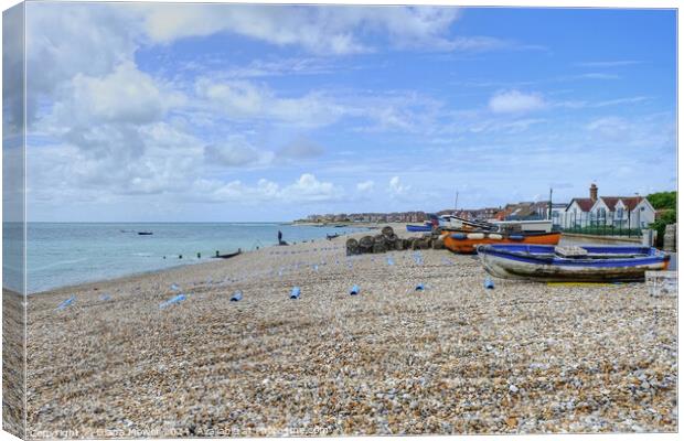 Selsey Beach and Town  Canvas Print by Diana Mower