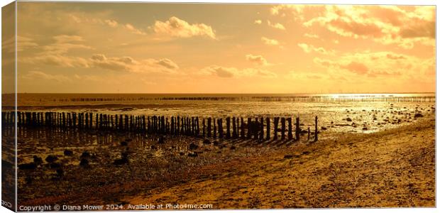  Mersea Island Sunset Canvas Print by Diana Mower