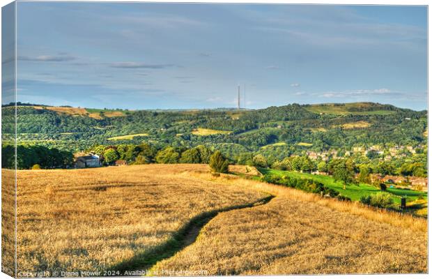 Holmfirth Footpath to Emley Moor Canvas Print by Diana Mower
