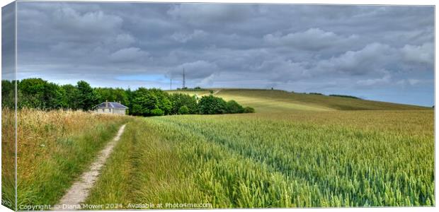 The Monachs Way West Sussex   Canvas Print by Diana Mower