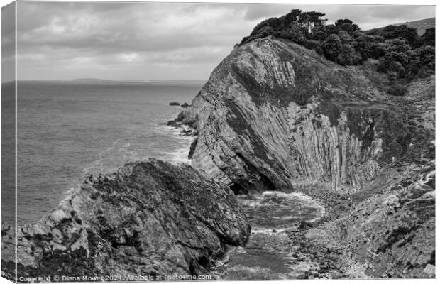 Stair Hole Dorset Monochrome Canvas Print by Diana Mower