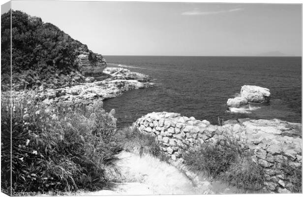 Regina Giovanna Sorrento  Monochrome Canvas Print by Diana Mower