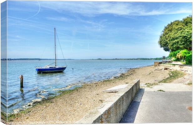 Shotley Sea Wall and Picnic Area Suffolk Canvas Print by Diana Mower