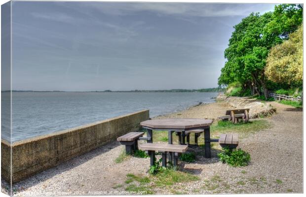  Shotley Picnic Area Suffolk Canvas Print by Diana Mower