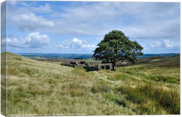Top Withens Haworth Moor Yorkshire Canvas Print by Diana Mower