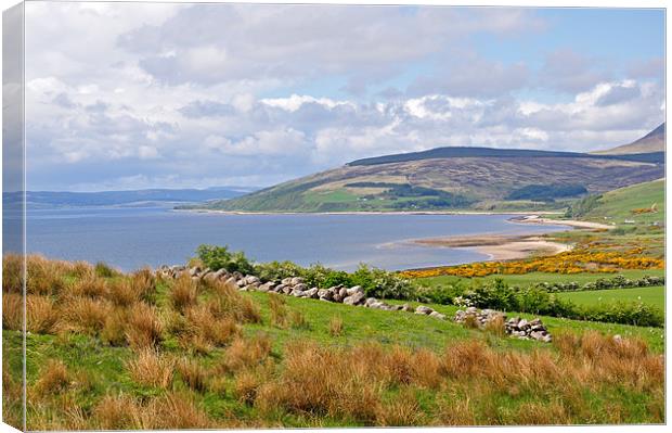 Isle of Arran Scotland Canvas Print by Diana Mower