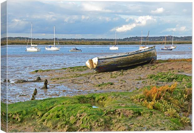 Low Tide Mersea Essex Canvas Print by Diana Mower