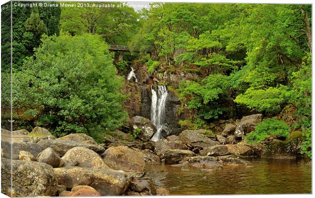 Inversnaid Waterfall Loch Lomond Scotaland  Canvas Print by Diana Mower