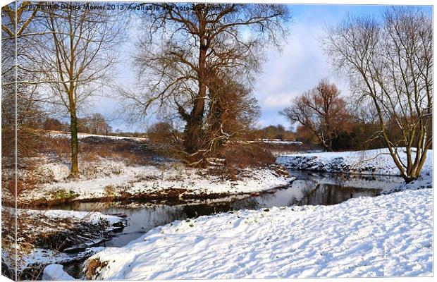 Bocking river in Winter Snow Canvas Print by Diana Mower