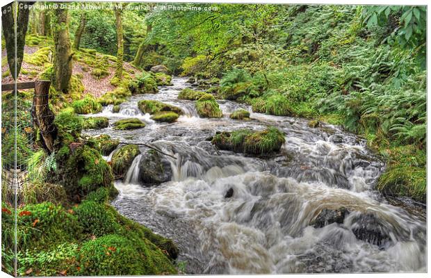 Dolgoch Falls Wales Canvas Print by Diana Mower