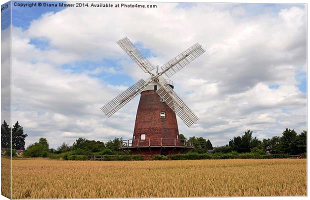 Thaxted Windmill Essex Canvas Print by Diana Mower