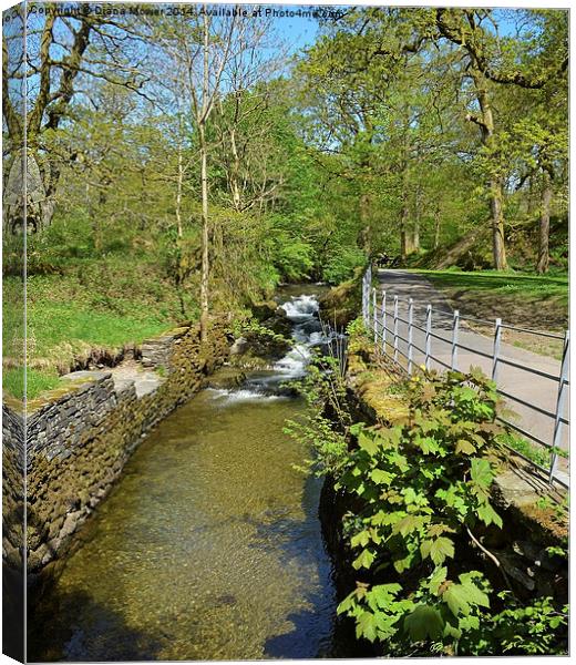 Ambleside Walk Canvas Print by Diana Mower