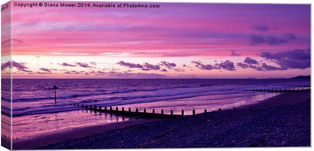 Welsh Sunset Canvas Print by Diana Mower