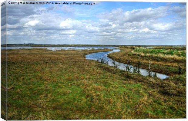 Tollesbury Marshes Canvas Print by Diana Mower
