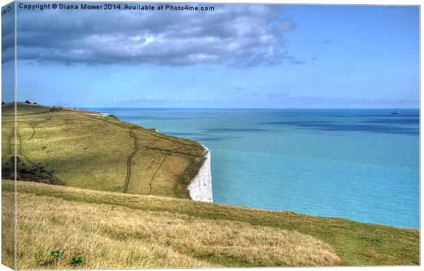 Dover Canvas Print by Diana Mower