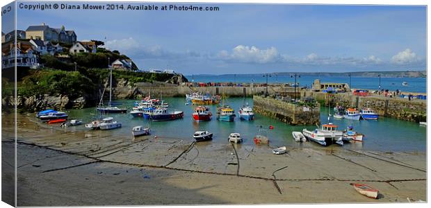 Newquay Harbour Canvas Print by Diana Mower