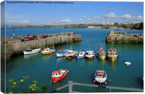 Newquay Canvas Print by Diana Mower