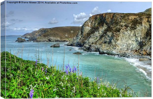 St Agnes Cornwall Canvas Print by Diana Mower