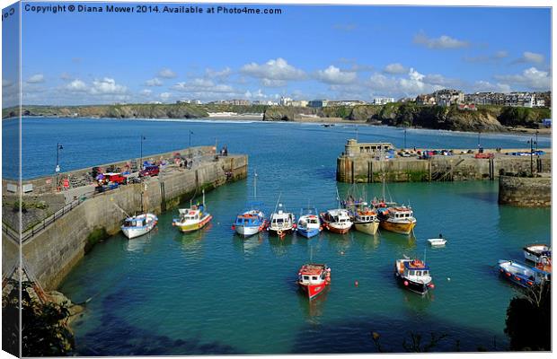 Newquay Canvas Print by Diana Mower