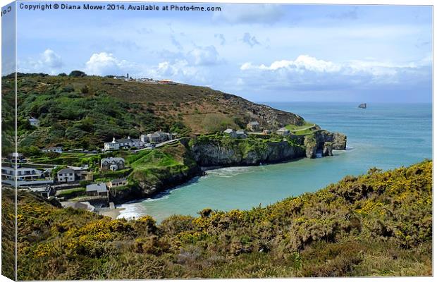 St Agnes Cornwall Canvas Print by Diana Mower