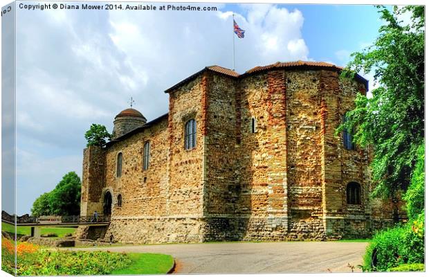 Colchester Castle Canvas Print by Diana Mower
