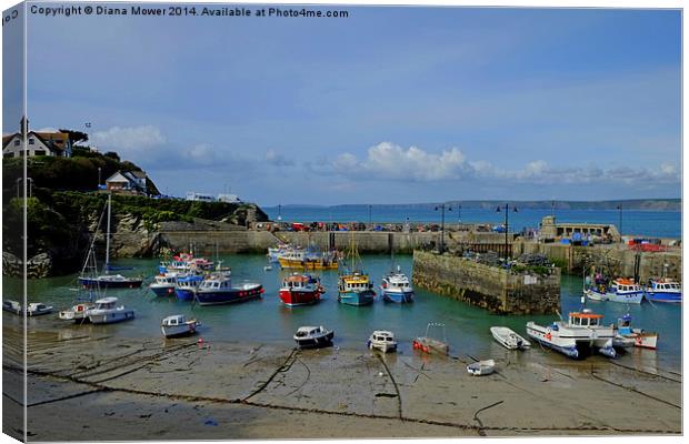 Newquay Harbour Canvas Print by Diana Mower