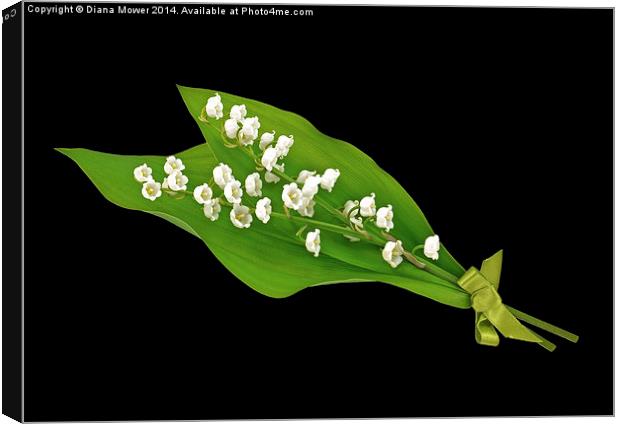 Lily of the Valley Canvas Print by Diana Mower