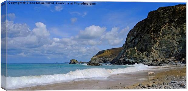  St Agnes Cornwall Canvas Print by Diana Mower