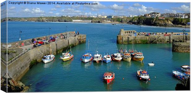  Newquay Harbour  Canvas Print by Diana Mower