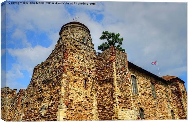  Colchester Castle Canvas Print by Diana Mower