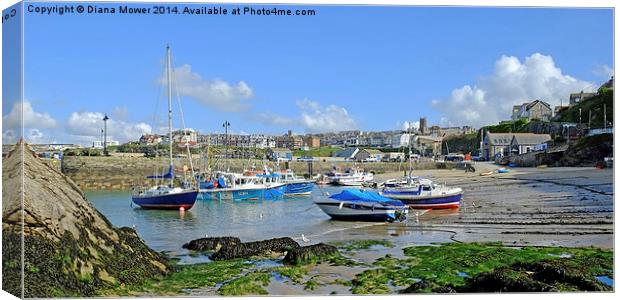  Newquay Harbour  Canvas Print by Diana Mower