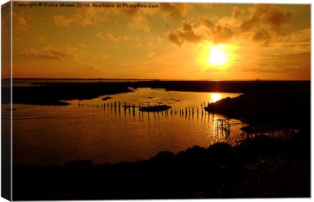  Tollesbury Wick Canvas Print by Diana Mower