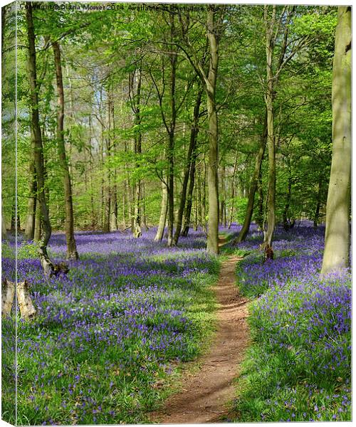  Bluebells Canvas Print by Diana Mower