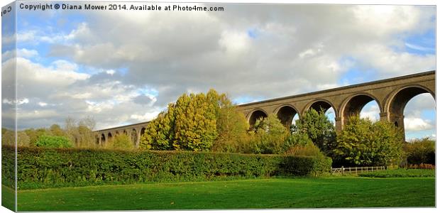 Chappel Viaduct  Canvas Print by Diana Mower