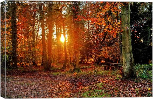  Forest of Dean Canvas Print by Diana Mower