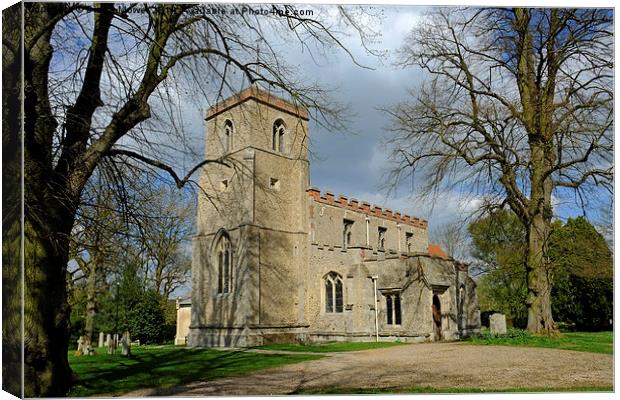  St Andrews Shalford Canvas Print by Diana Mower