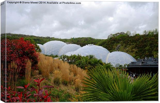 The Eden Project Canvas Print by Diana Mower