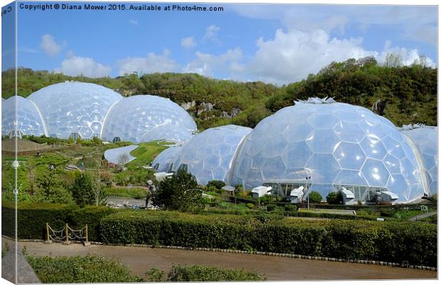  The Eden Project Canvas Print by Diana Mower