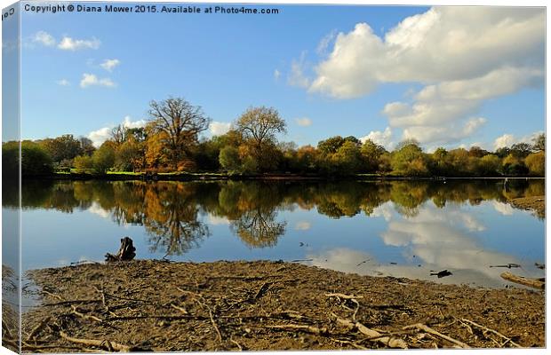  Hatfield Forest  lake Canvas Print by Diana Mower