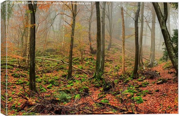 The Forest of Dean Canvas Print by Diana Mower