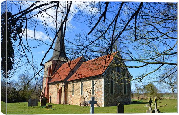 St Mary and St Peter  Fairstead Canvas Print by Diana Mower