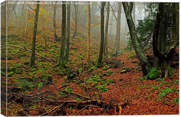 Misty Forest of Dean Canvas Print by Diana Mower