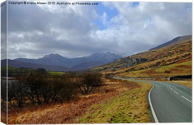  The road to Snowdon Canvas Print by Diana Mower