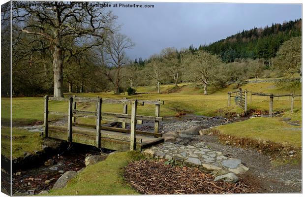  Betws-y-Coed Wales Canvas Print by Diana Mower