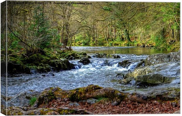  River Llugwy Betws-y-Coed  Canvas Print by Diana Mower