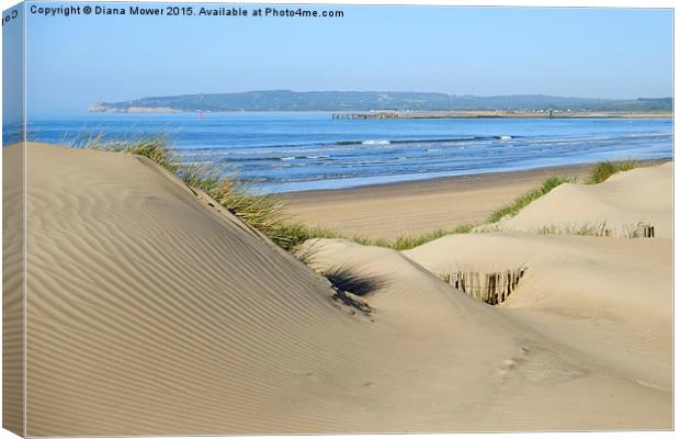  Camber Sands Canvas Print by Diana Mower
