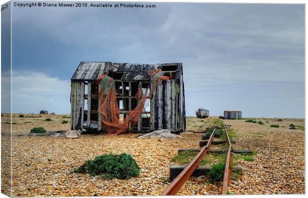 Dungeness  Canvas Print by Diana Mower