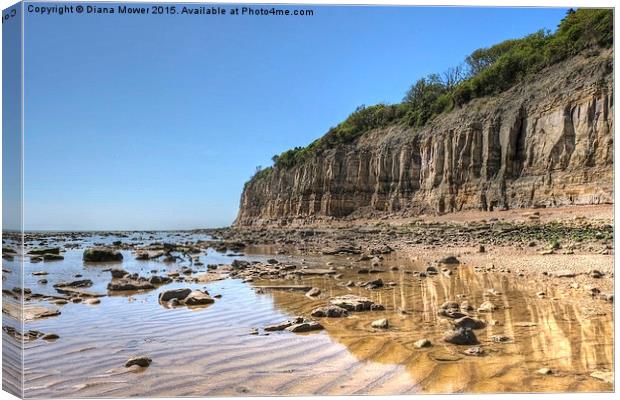  Pett Level East Sussex Canvas Print by Diana Mower